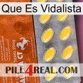 What Is Vidalista 42